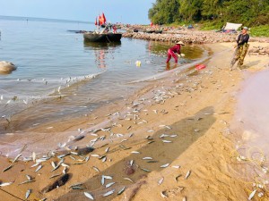 Nghi Tiến: Vươn mình từ làng chài ven biển đến nông thôn nâng cao