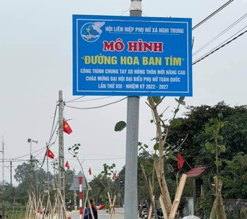 Mô hình đường Hoa ban tím